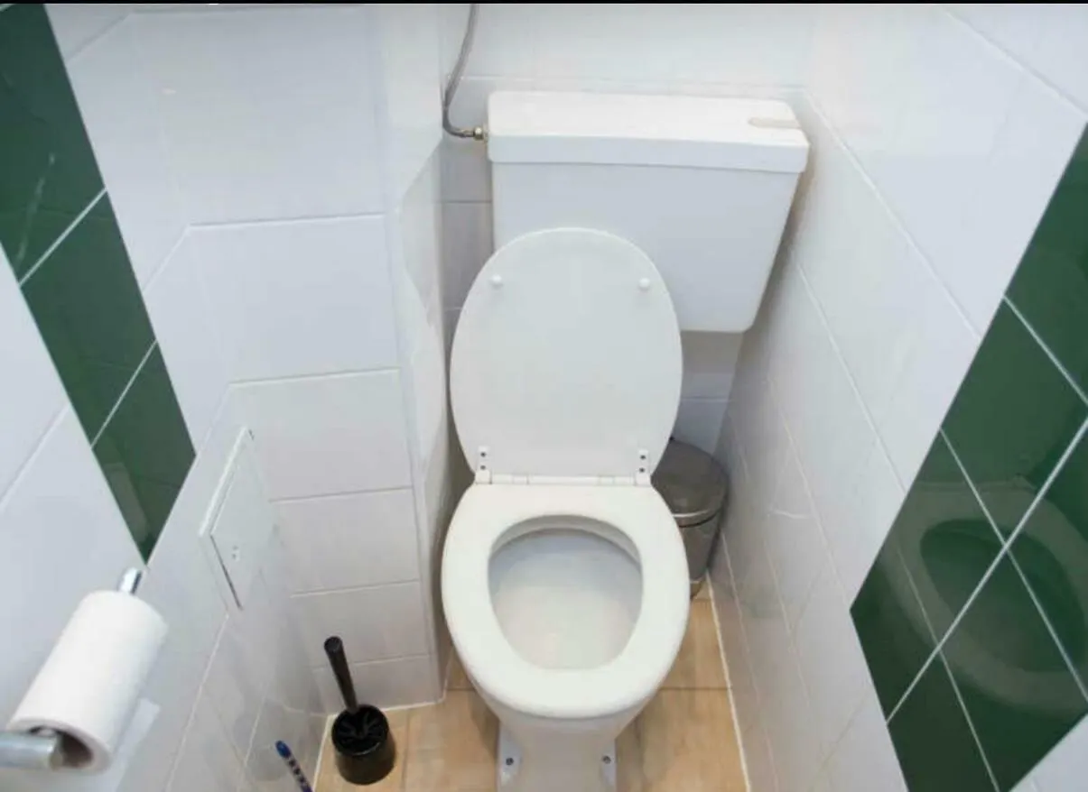 Cosy Flat Near Schoenbrunn Viena 0*,  Austria